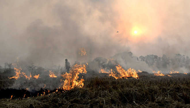 No Central help, Punjab mulls cut in incentive to check farm fires 1 2022 8largeimg 2094050220 1gPi29
