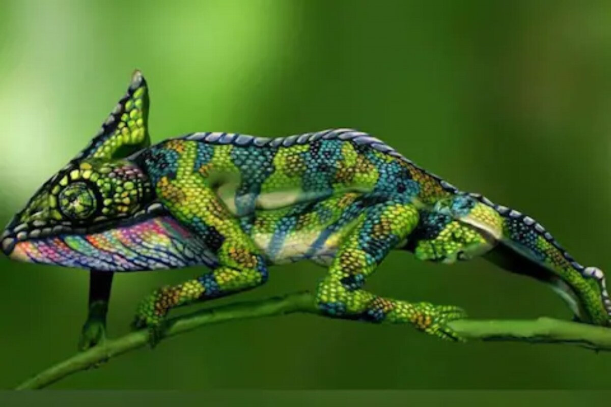 untitled design 4 54 16619288863x2 g6ZjD0