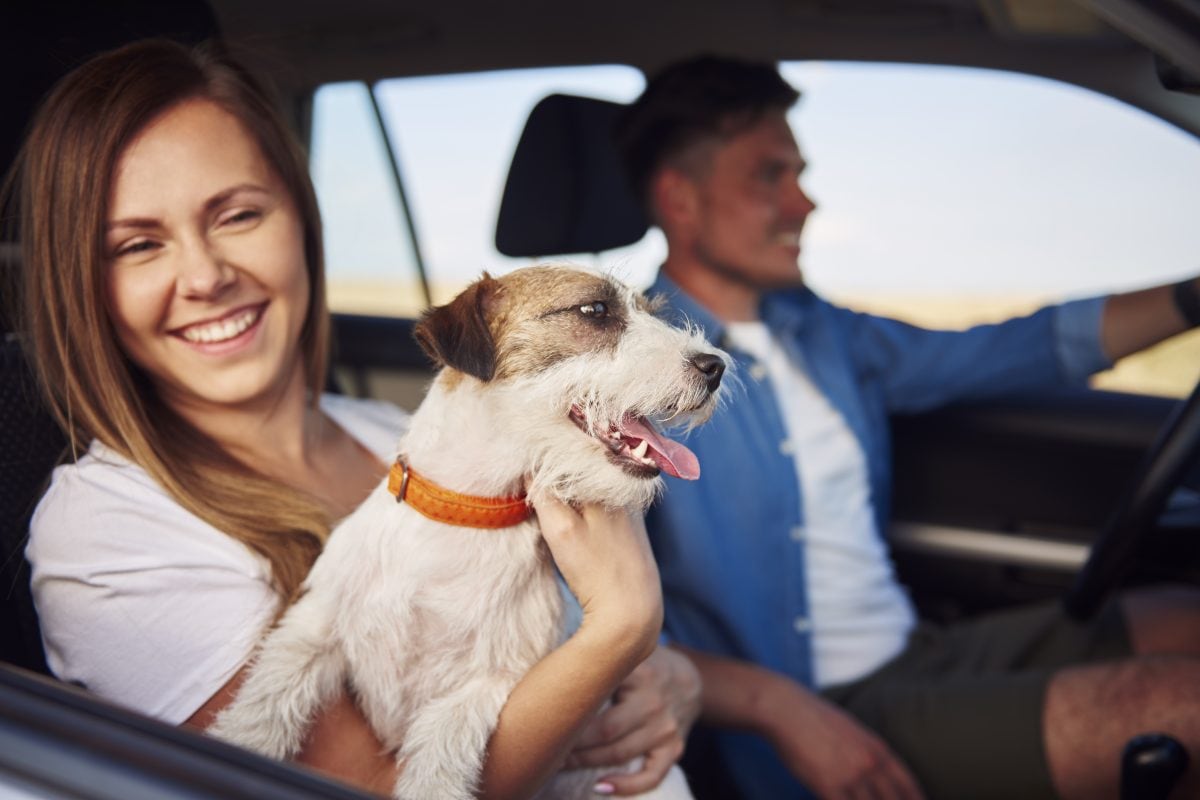 happiness couple their dog traveling together 16744871693x2 LFS5iC