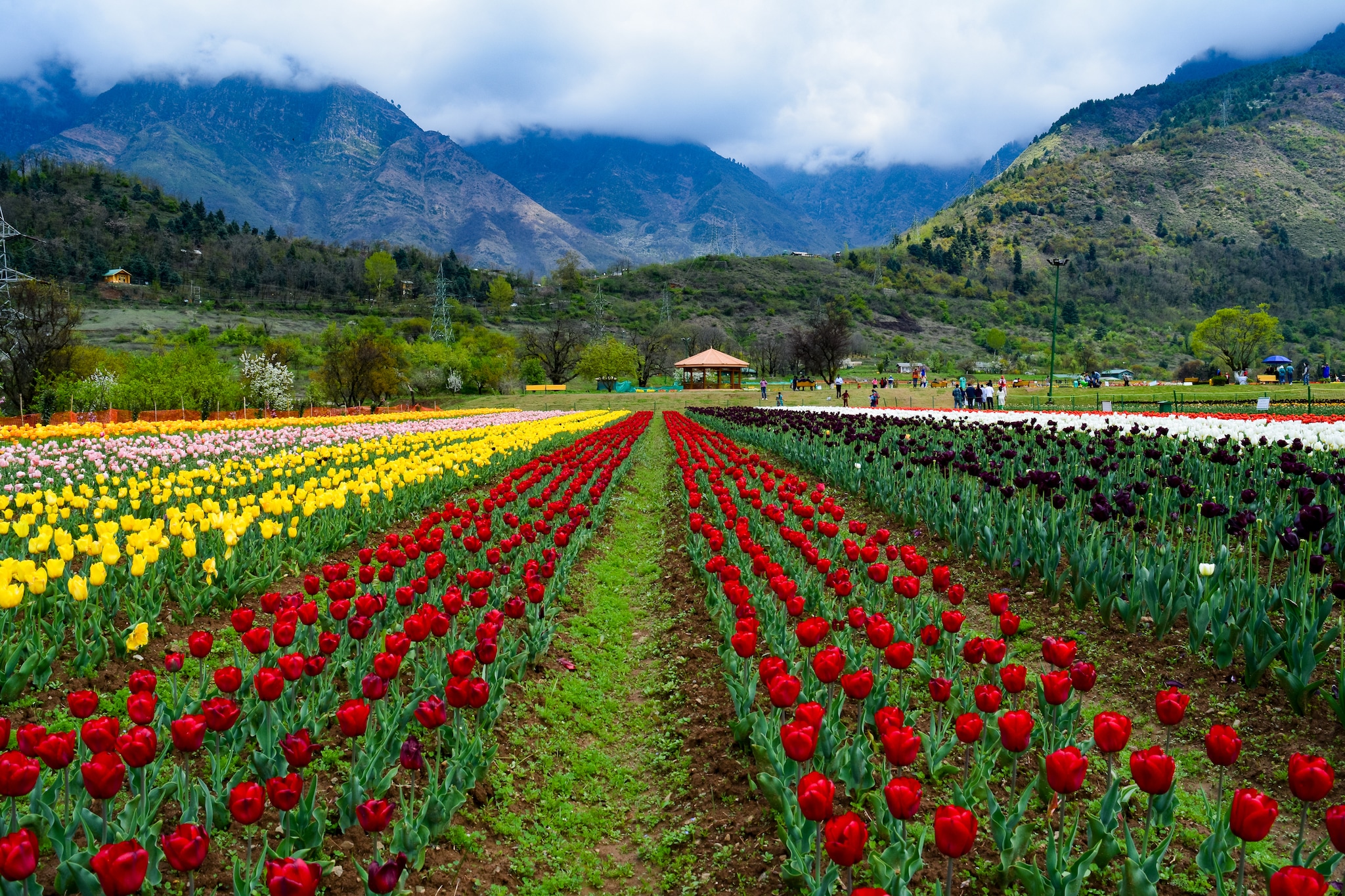kashmir