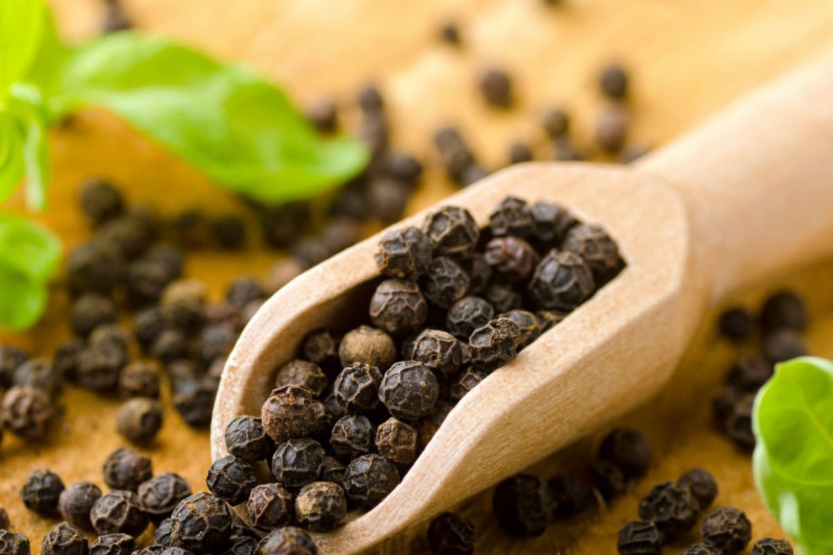 black pepper 16772224803x2 wpIEDv