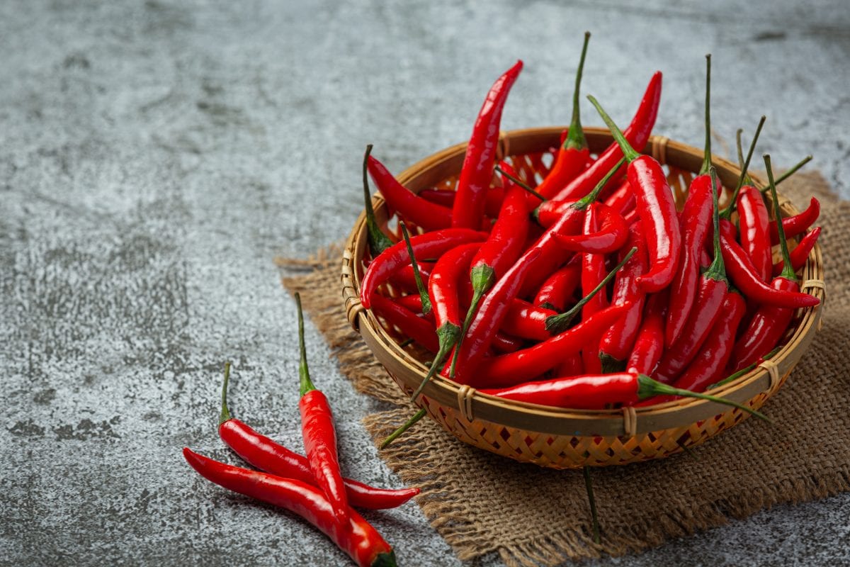 chilli pepper dark surface 16775861383x2 Onei9t