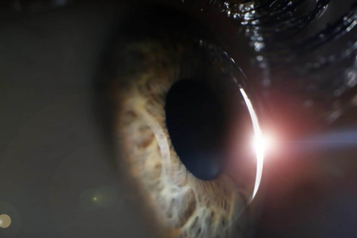 image 22 16771279703x2 1RmXRV