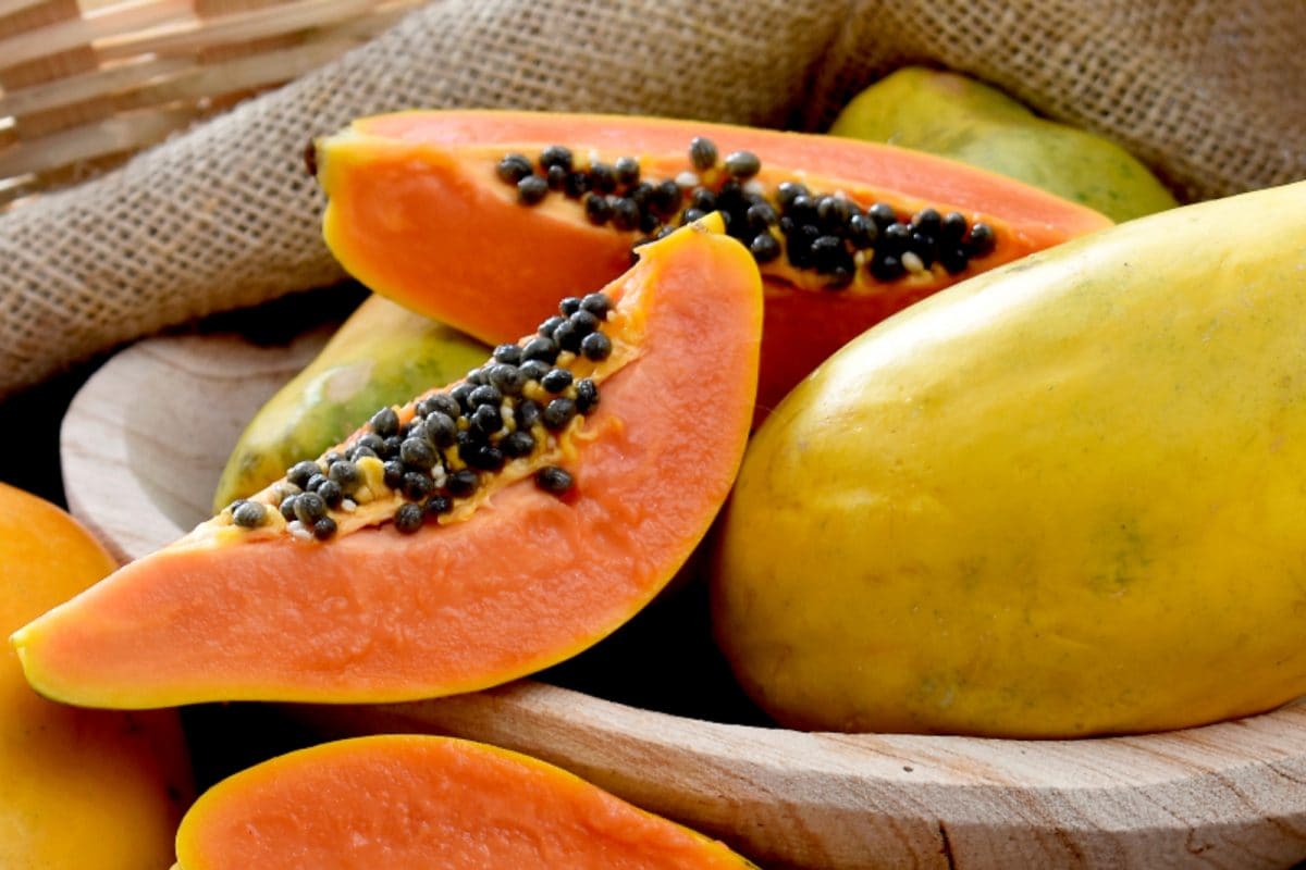 papaya 16772228443x2 vfnCNk