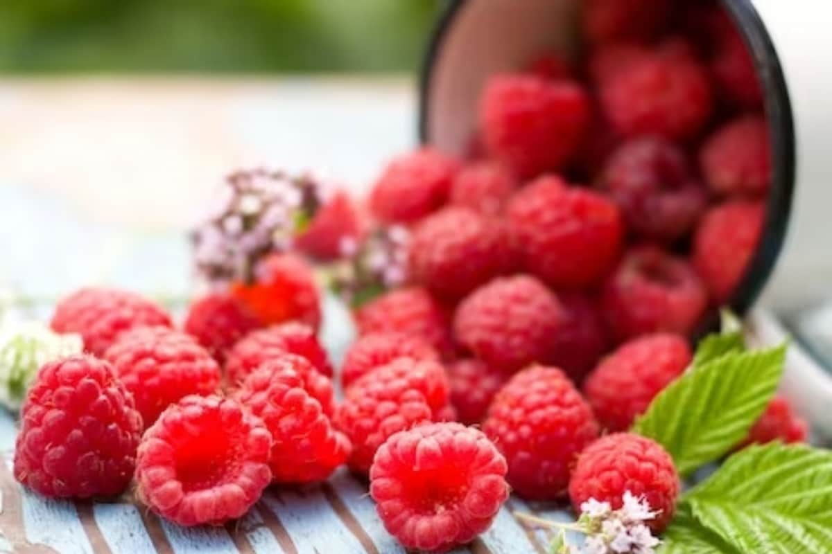 raspberries 16774937103x2