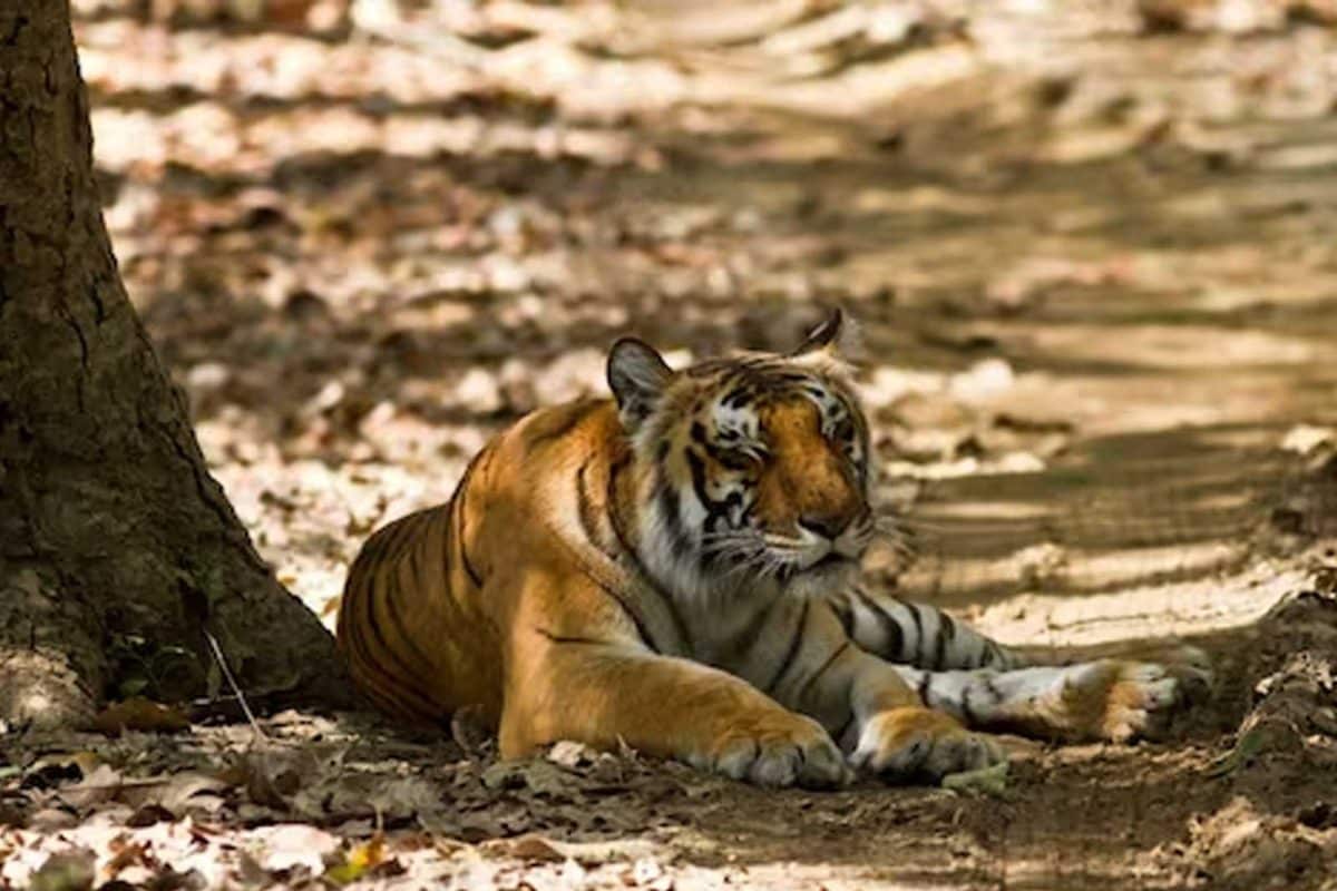 untitled 1 122 16755237993x2 MQ8qp7