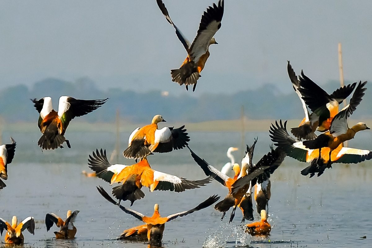 world wetlands day 1 16752296413x2 aMHynX