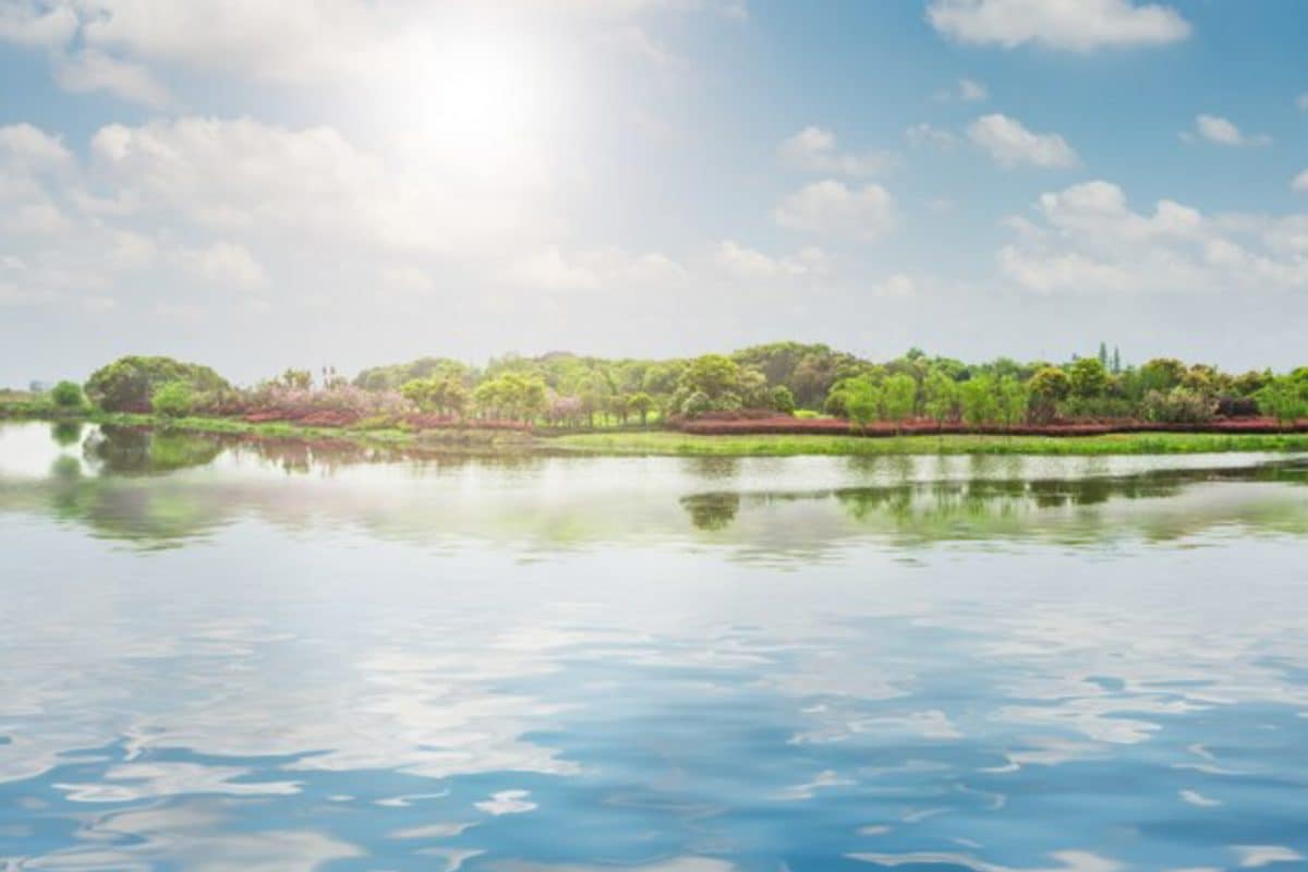 world wetlands day 2023 16752366603x2 TRTVrM