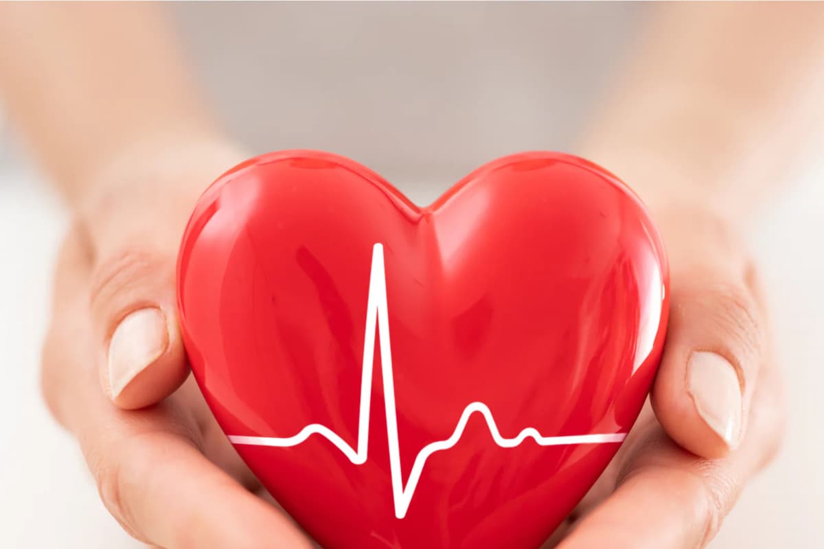 heart health 16777374893x2