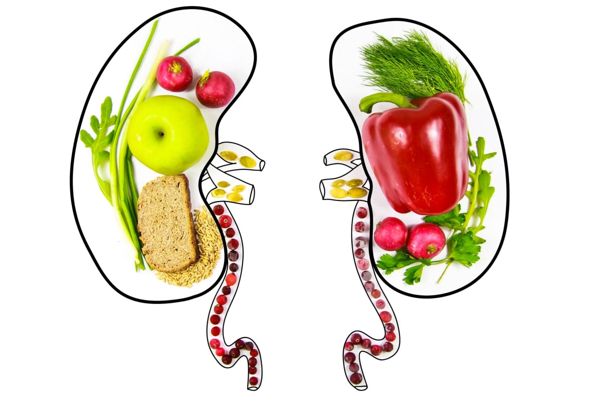 kidney day foods Td4Hyy