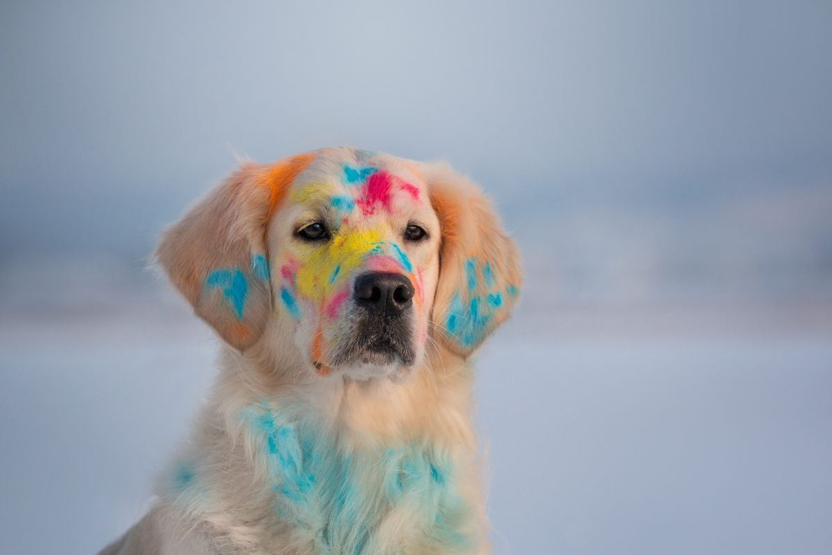 shutterstock 1640973058 16778608913x2 S7dTC1