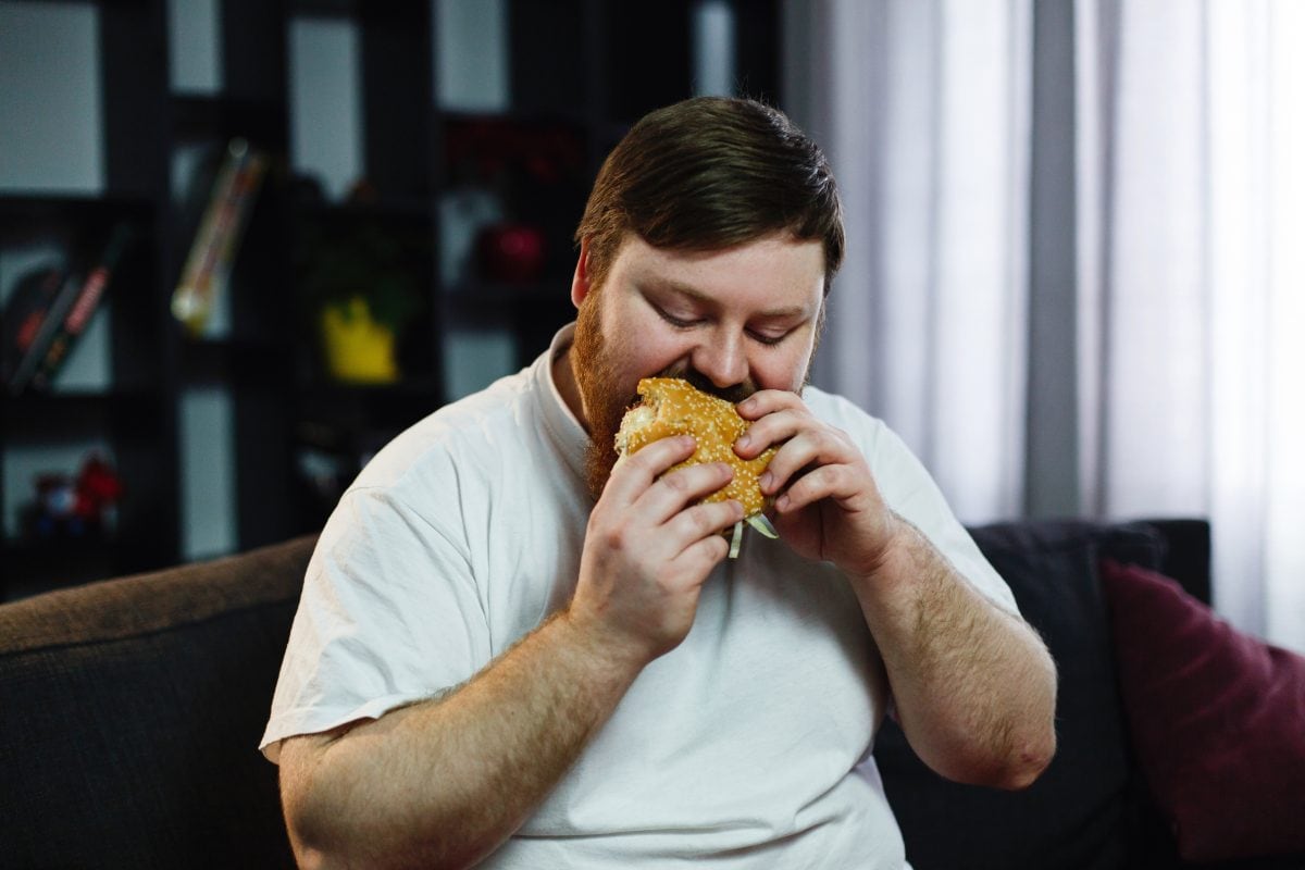 smiling fat man eats burger sitting before tv set 16778551663x2 JNHW1l