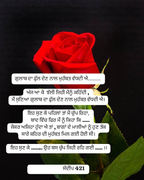WhatsApp Image 2024 10 09 at 9.31.10 AM