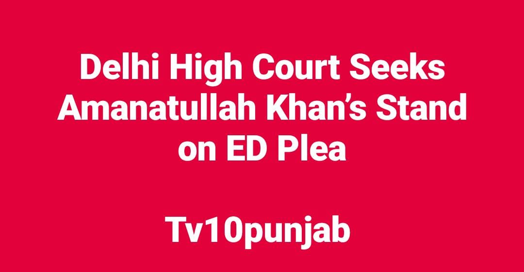 WhatsApp Image 2025 02 13 at 4.34.40 PM