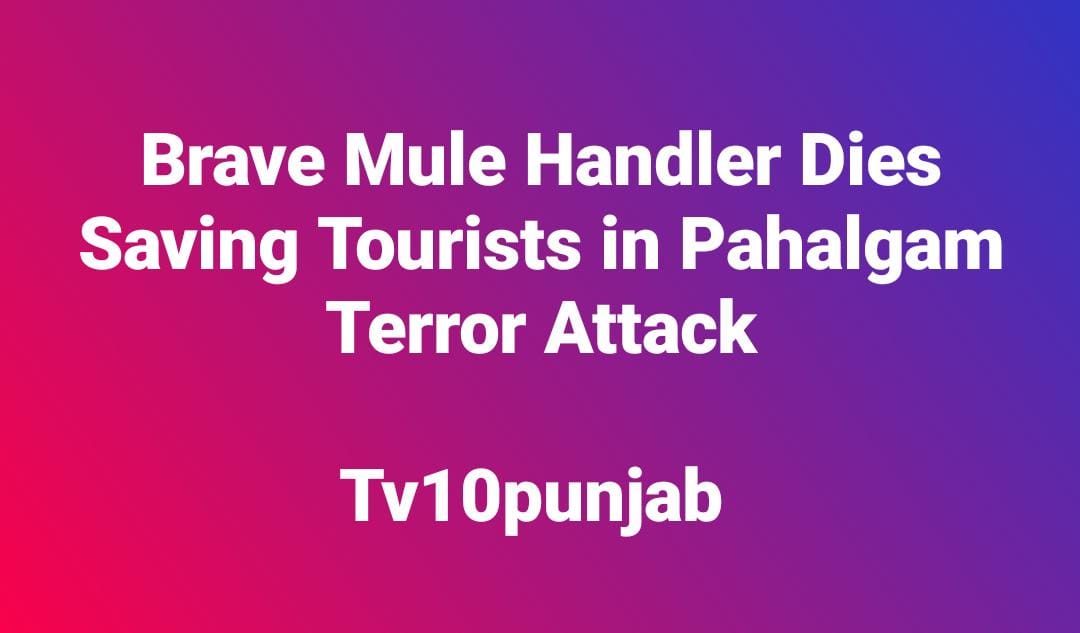 WhatsApp Image 2025 04 24 at 11.14.58 AM