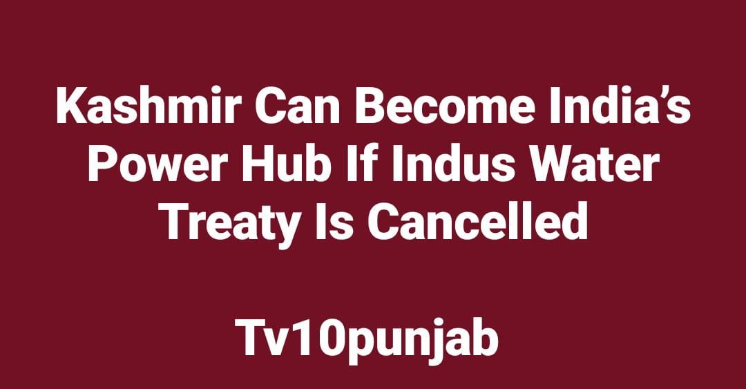 WhatsApp Image 2025 04 27 at 9.19.06 AM