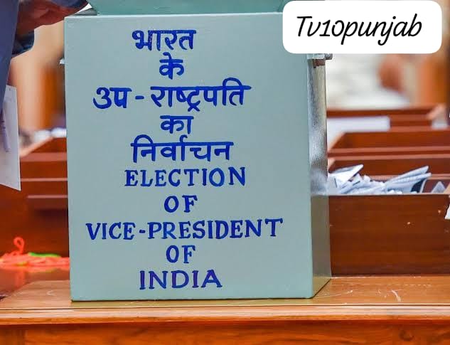 WhatsApp Image 2025 08 11 at 10.41.23 AM