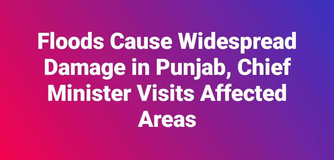 WhatsApp Image 2025 09 02 at 11.41.53 AM