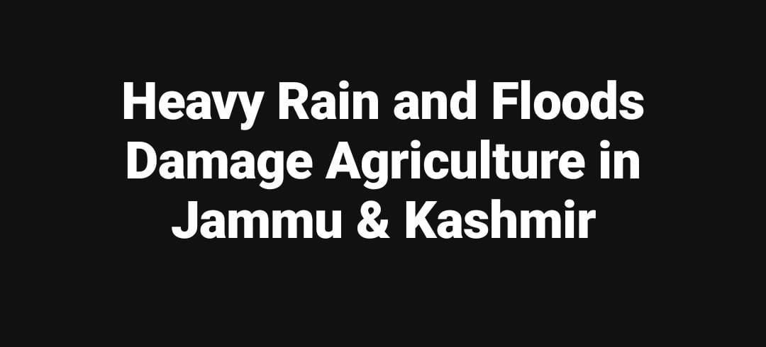 WhatsApp Image 2025 09 06 at 11.06.29 AM
