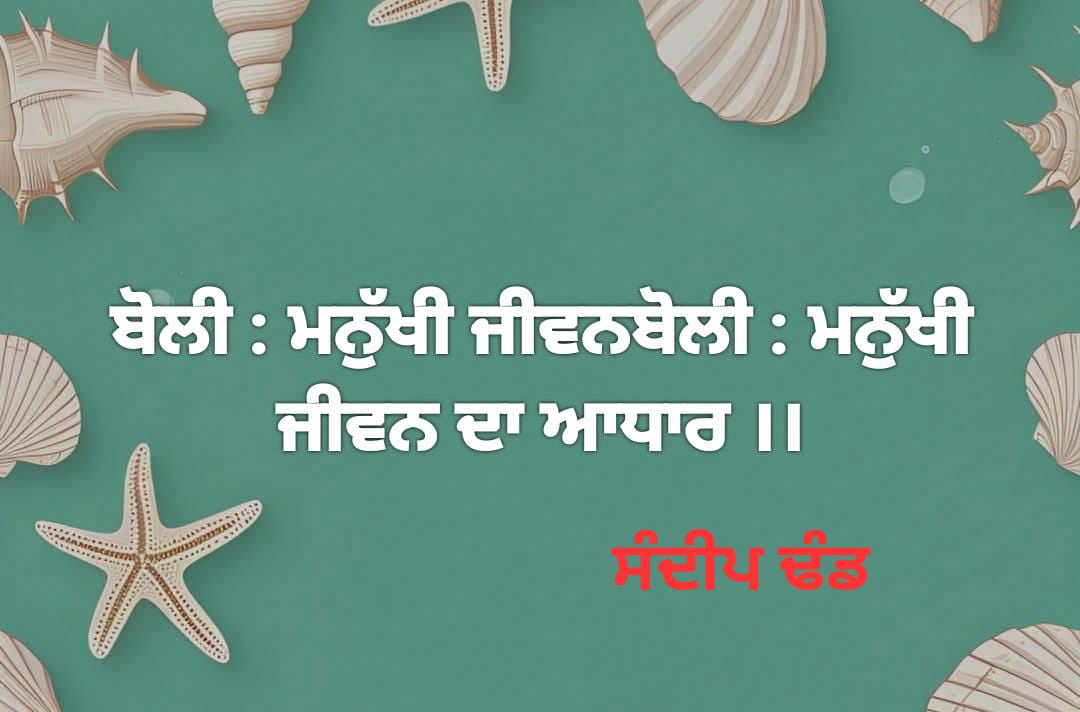 WhatsApp Image 2025 09 17 at 4.56.17 PM
