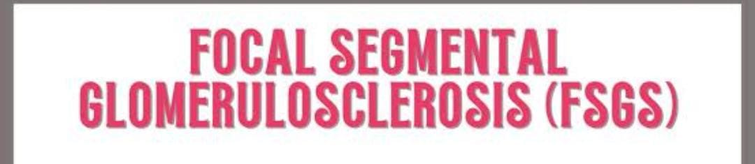 WhatsApp Image 2025 11 01 at 7.33.27 PM