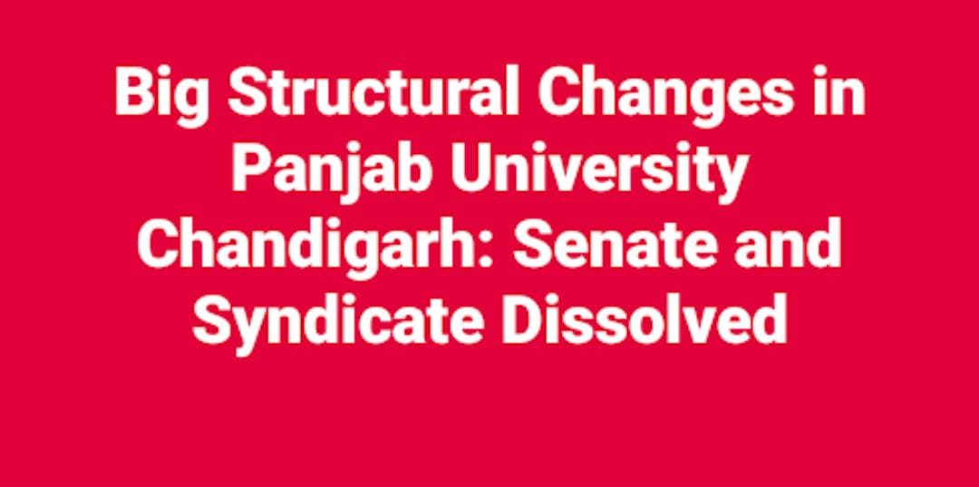 WhatsApp Image 2025 11 01 at 7.38.42 PM