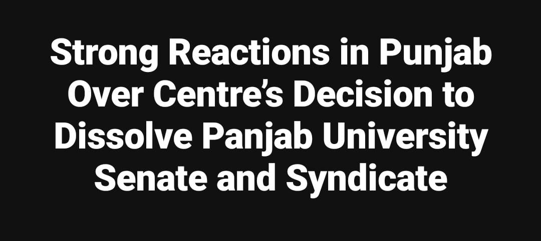 WhatsApp Image 2025 11 01 at 8.00.17 PM