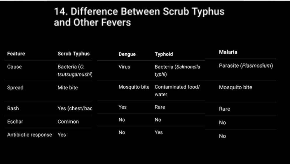 Scrub Typhus: Causes, Symptoms, Treatment, Prevention, and Diet Plan 2 WhatsApp Image 2025 12 10 at 1.49.09 PM