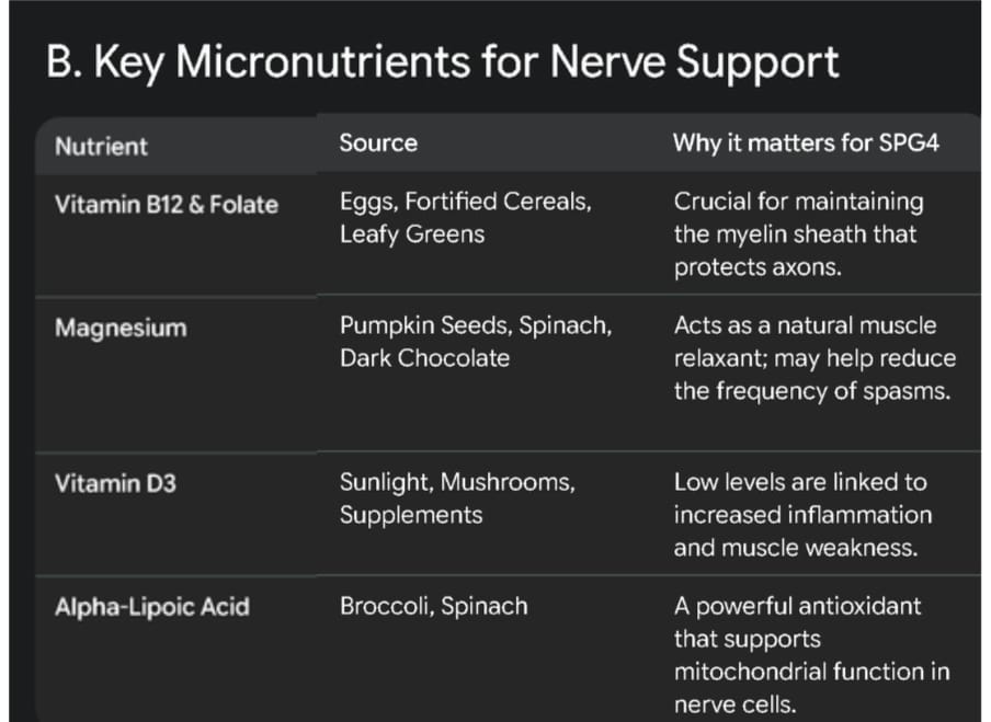 WhatsApp Image 2026 04 30 at 2.30.19 PM